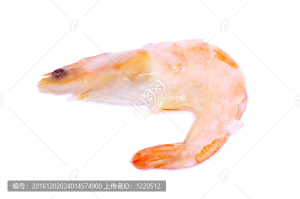 蝦