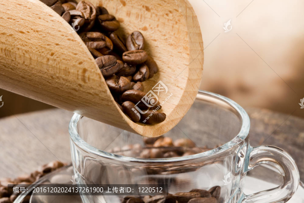 咖啡豆上的空玻璃杯