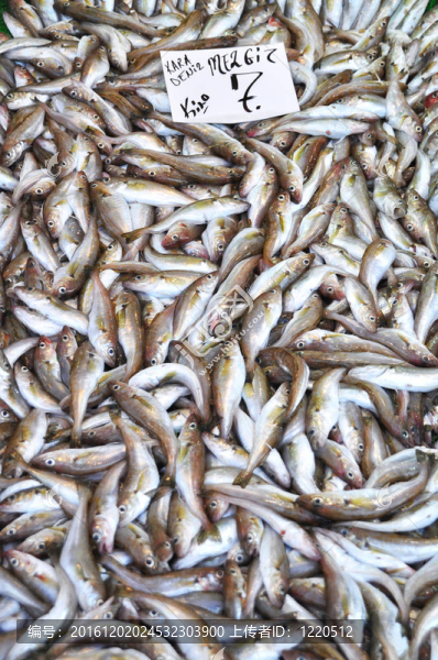 魚市場(chǎng)