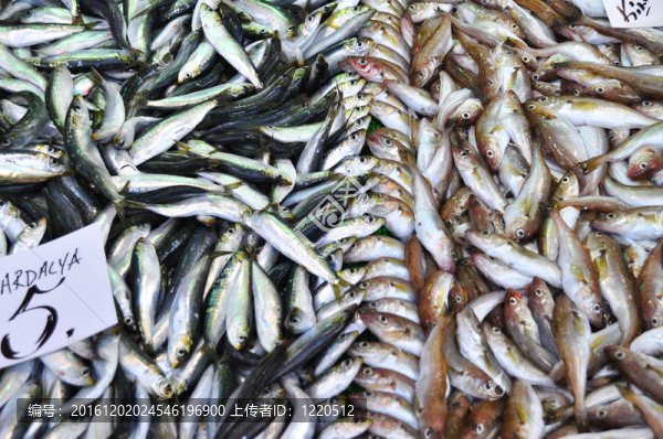 魚市場