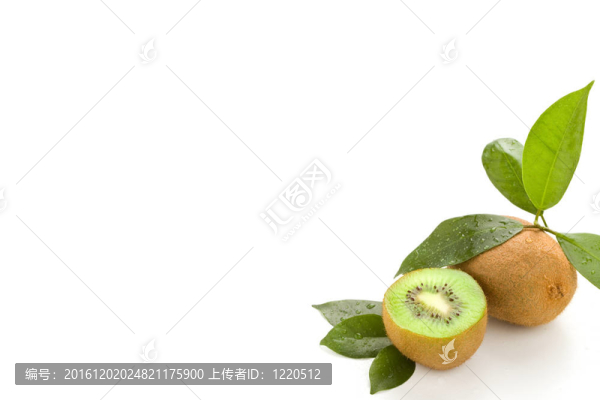 幾維鳥(niǎo)