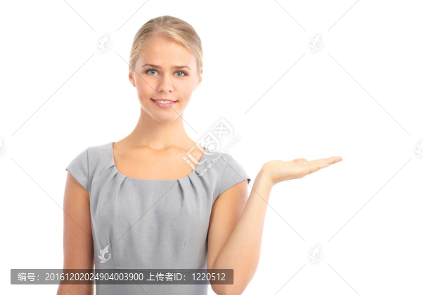 呈現(xiàn)業(yè)務(wù)的女人