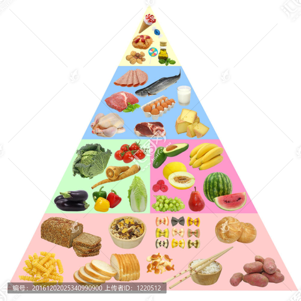 食物金字塔