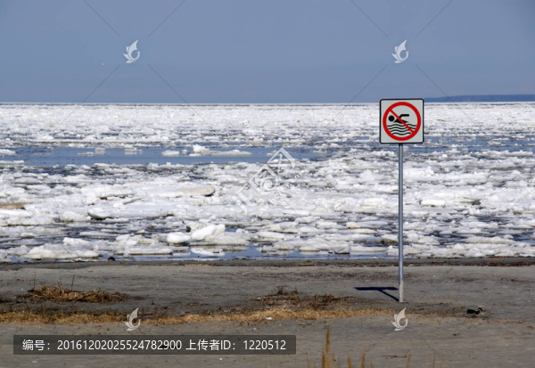 海灘