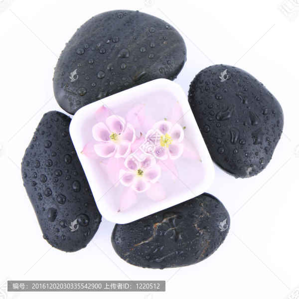 石頭和花