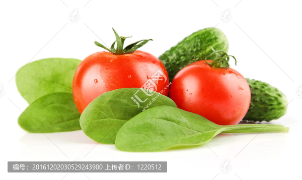 新鮮番茄蔬菜