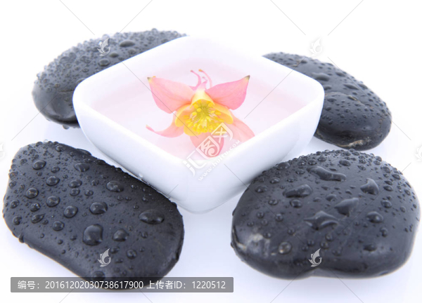 石頭和花