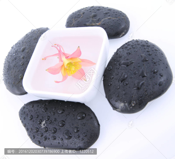 石頭和花