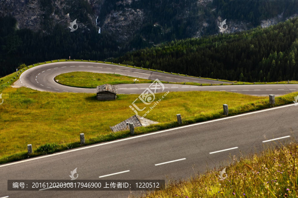 高高寒草地中的道路蛇紋石。