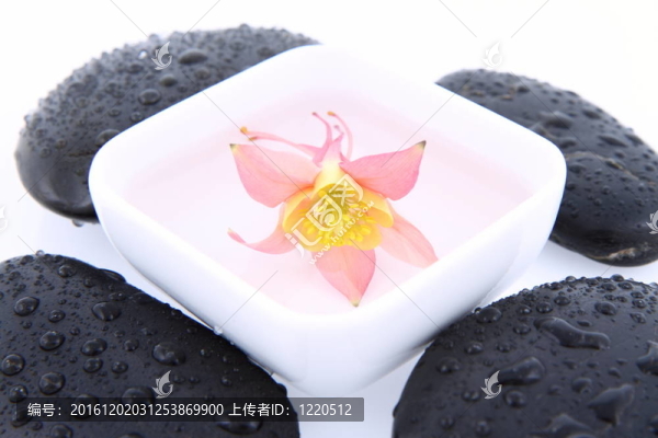 石頭和花