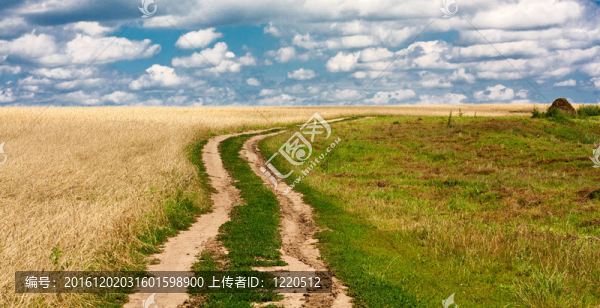 鄉(xiāng)村景觀精品