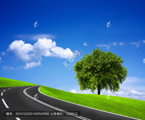 道路與綠地景觀