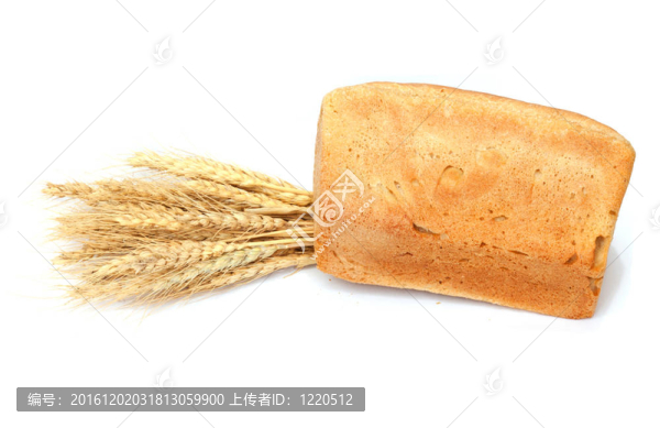 白色背景上的面包和小麥