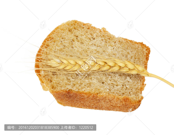 面包小麥和耳朵