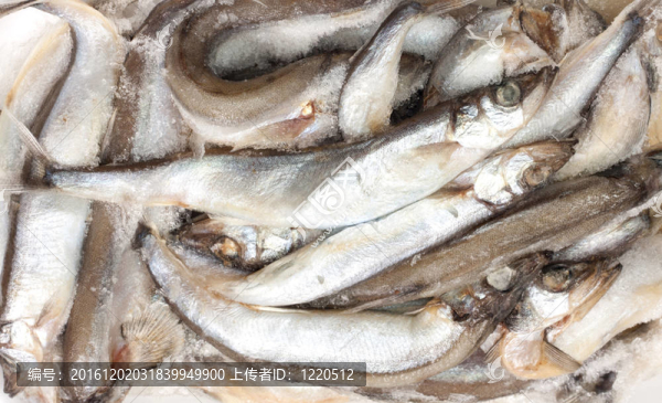 市場(chǎng)上的魚(yú)