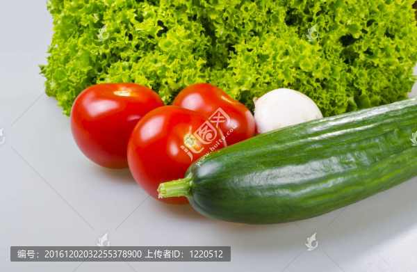 Lollo,Bionda和其他人