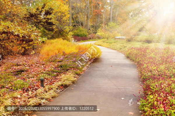 秋天在公園里