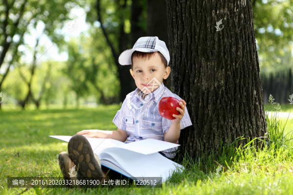 一個男孩在公園里拿著一本書的肖像