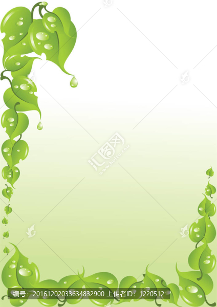 美麗的框架從葉