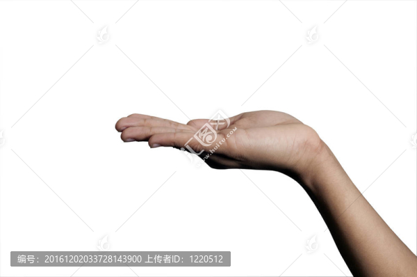 臂