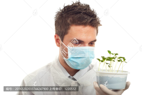 研究人員持有新黃瓜植物