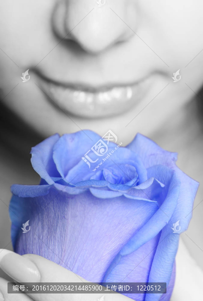 一個(gè)藍(lán)色的玫瑰女人特寫(xiě)
