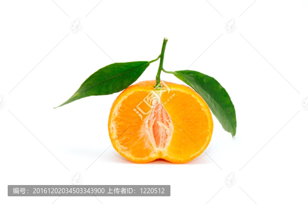 Tangerine夜店