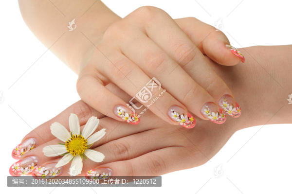 女性手與花
