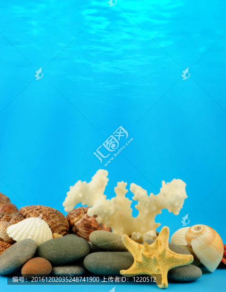 水下的世界