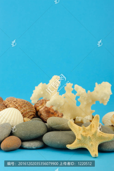 水下世界的海星和一組物體