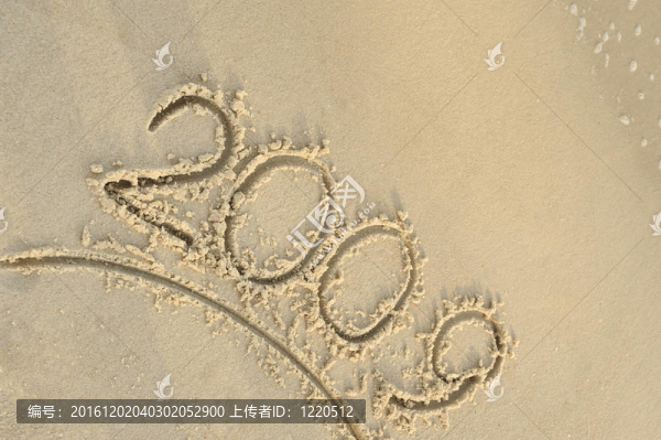 沙2009
