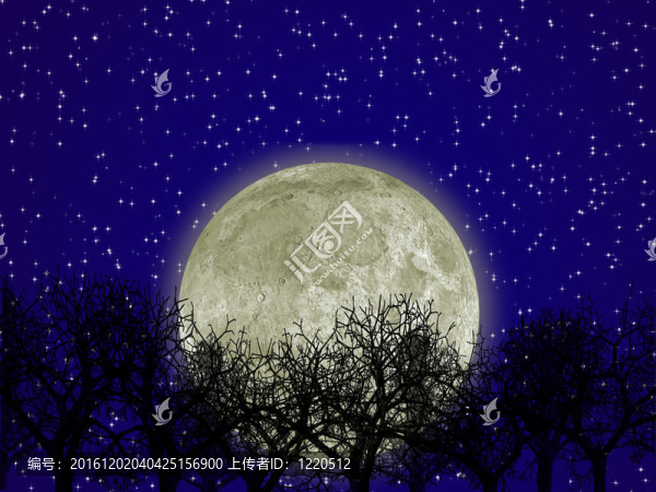 Moon和林
