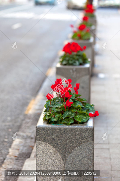 石頭花盆沿城市街道