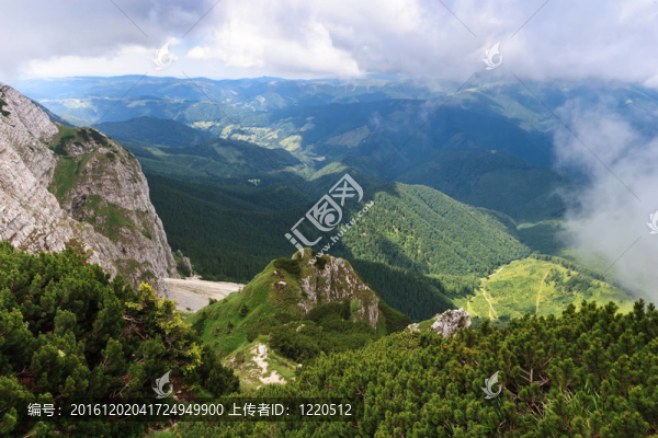 山上的風(fēng)景