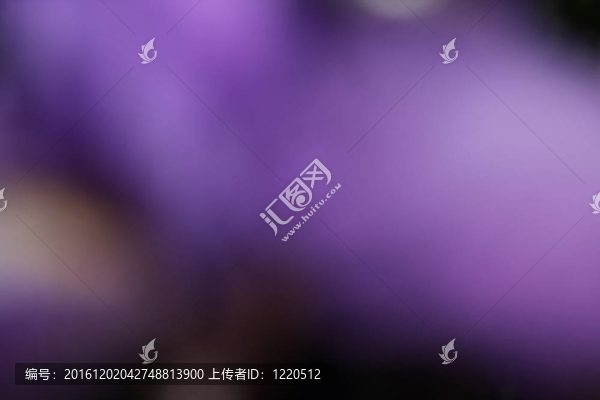 春天的花朵