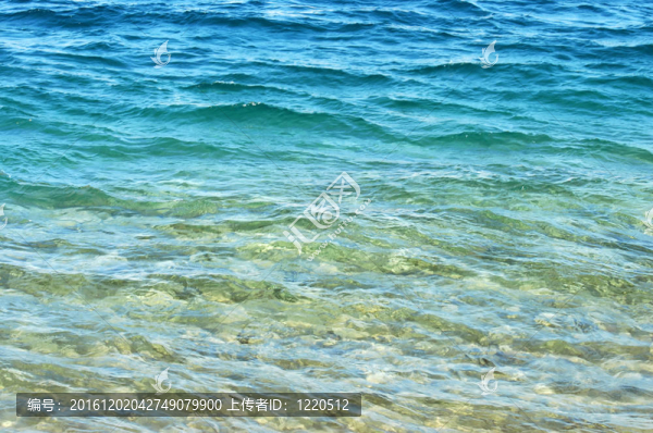 海洋的水