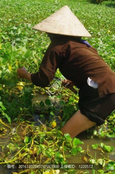 Grandma,Kinh在現(xiàn)場