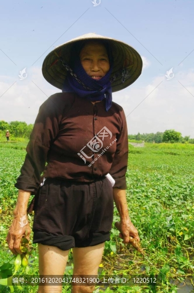 京族民族奶奶畫像