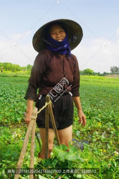 京族民族奶奶畫像