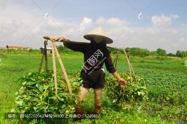 奶奶在現(xiàn)場