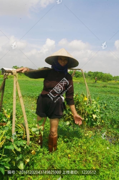 奶奶在現(xiàn)場(chǎng)