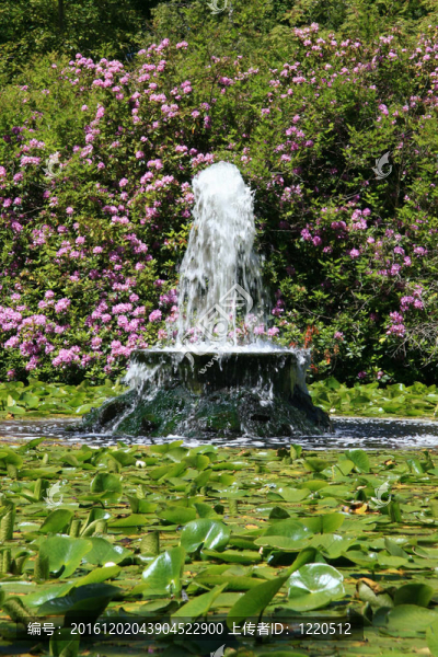 筆架山公園；Victoria；公元前；加拿大