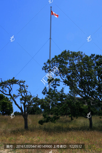筆架山公園；Victoria；公元前；加拿大