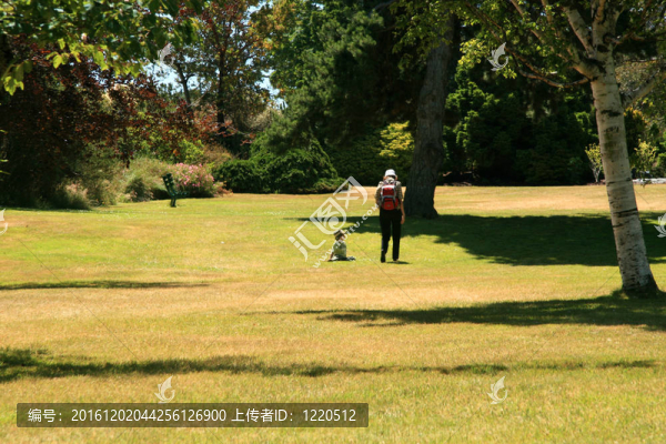 筆架山公園；Victoria；公元前；加拿大