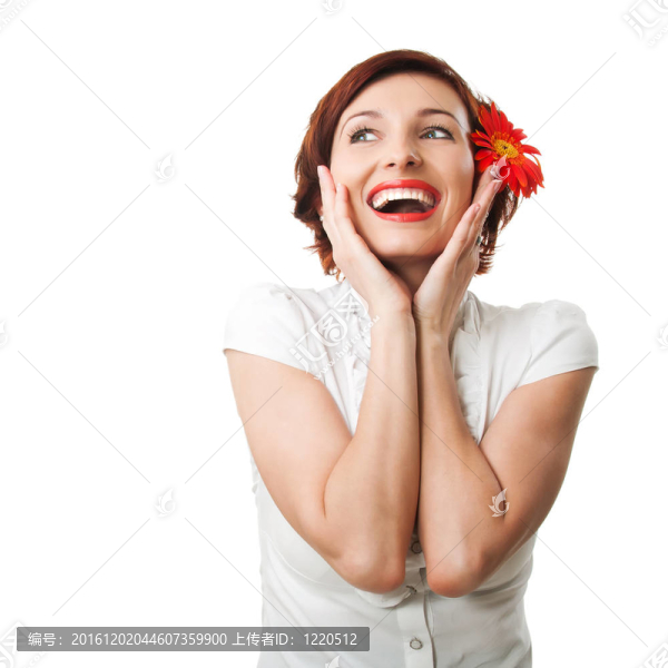 美麗的女人花非洲菊對白色背景