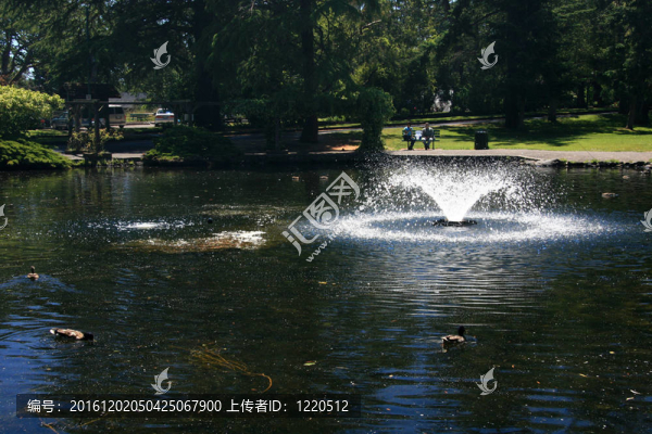 筆架山公園；Victoria；公元前；加拿大