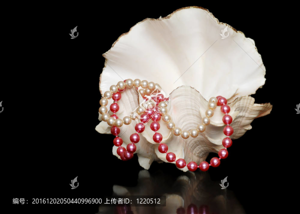 貝殼珍珠項鏈