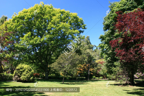 筆架山公園；Victoria；公元前；加拿大