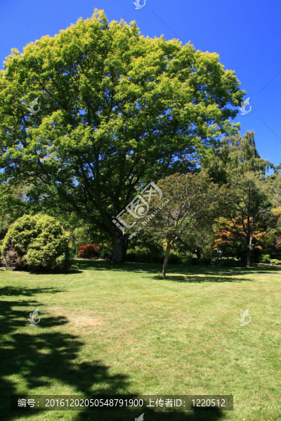 筆架山公園；Victoria；公元前；加拿大