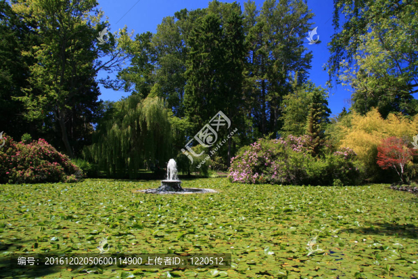 筆架山公園；Victoria；公元前；加拿大